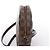 Borsa a tracolla Louis Vuitton Ipanema PM Damier in marrone N51294 - vista 4