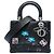 Dior Black Medium Calfskin Paradise Lady Dior