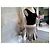 Autre Marque Wind Strickkleid gestreift - Schwarz/Beige - Ansicht 2