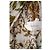 Autre Marque POUPETTE ST BARTH Weißes kurzes Kleid mit Blumenprint - Ansicht 8