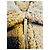 Autre Marque GANT Men's Shearling Leather Jacket - Warm Khaki - view 3