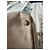 Chanel Vanity Case monogrammiertes Canvas beige - Ansicht 10