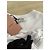 Miu Miu Baumwoll Hoodie mit Wolkenprint - Ansicht 3