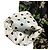Dolce & Gabbana Abrigo Dolce&Gabbana de PVC recubierto con estampado floral - vista 14