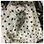 Dolce & Gabbana Abrigo Dolce&Gabbana de PVC recubierto con estampado floral - vista 16