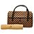 Bolso Louis Vuitton Damier Sauvage Lion Dice - vista 15