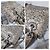 Christian Dior Mini Lady Dior Borsa in Raso e Cristalli - Grigio - vista 12