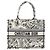 Borsa Christian Dior Book Tote Medium Plan de Paris