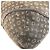 Bolsa Tiracolo Louis Vuitton Monogram Idylle Elegy - vista 9