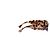Fendi Sonnenbrille Schildpatt Braun Kunststoff - Ansicht 4