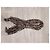 Max Mara Schal Leopardprint - Ansicht 4