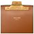Céline Celine Brown Classique Triomphe Coated Canvas and Calfskin Triomphe Crossbody - vista 5