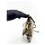 Burberry Peyton Crossbody Clutch Haymarket Coated Canvas Small - vista 3