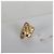 Gabrielle Pendientes Chanel 2002 Flap Bag chapados en oro - vista 5