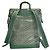 Saint Louis Goyard Alpin MM Zaino Verde - vista 5