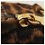 Prada Mini Borsa a Tracolla 1N1674 Cavallino Stampa Leopardata Marrone - vista 12