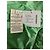 Hermès Plume Green Quilted Jacket with Hood - view 8