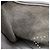 Hermès Borsa a tracolla Hermes Evelyne 3 GM - vista 8