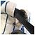 Loewe Schultertasche aus Canvas und Leder - Ansicht 8