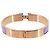 Hermès Brazalete Hermes Clic H GM en Lilac Rose Gold - vista 2