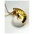Loro Piana Collana Conchiglia Sunrise/Sun Gold - vista 7