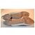Gianvito Rossi Leder Slingback Pumps in Weiß und Grau - Ansicht 5