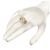 Bague Trinity Cartier Trois Couleurs - vue 8