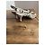 Gianvito Rossi Escarpins Python Print Cuir Beige Noir - vue 2