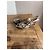 Gianvito Rossi Escarpins Python Print Cuir Beige Noir - vue 3