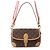 Borsa a tracolla Louis Vuitton Monogram Diane NM PM