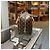 Borsa Louis Vuitton Trouville Canvas - vista 4