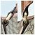 Saco Tote Gucci GG Plus Beige Brown - vista 11