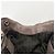 Borsa Tote in pelle Prada BN1954 - vista 20