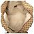 Borsa da viaggio Gucci GG Canvas Web beige - vista 4