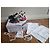 Dior Vibe Sneaker Black & Raspberry Technisches Gewebe 36 - Ansicht 2