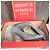 Andrea Pfister Graue Wildleder-Pumps - Ansicht 2