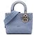 Dior Blue Medium Embroidered Canvas Cannage Lady D Lite