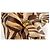Dolce & Gabbana Stola in Seta Girasoli e Stampa Zebra - vista 15