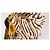 Dolce & Gabbana Stola in Seta Girasoli e Stampa Zebra - vista 8