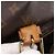 LOUIS VUITTON Monogram Montsouris GM Backpack M51135 LV - vista 26