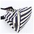 Borsa Tote/Borsa a Tracolla Prada Canapa Border 2-Way - vista 5
