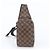 Louis Vuitton Damier Geronimos N51994 Borsa a tracolla 2-Way in pelle - vista 2