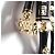 Chanel Spilla Coco Lion in metallo dorato e smalto nero - vista 5