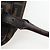 FENDI Zucca Canvas Shoulder Bag Black Brown - vista 23