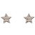 Orecchini Chanel CHANEL Star Coco Mark C23S