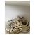 Balenciaga Track Sneaker Weiß - Ansicht 4