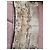 Foulard in seta Jean Paul Gaultier Divine - vista 4