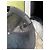 Gucci GG Supreme Canvas und Mesh Cap - Ansicht 12