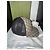 Gucci GG Supreme Canvas und Mesh Cap - Ansicht 7