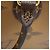 Borsa Tote Louis Vuitton Monogram Reverse Giant OnTheGo GM - vista 14